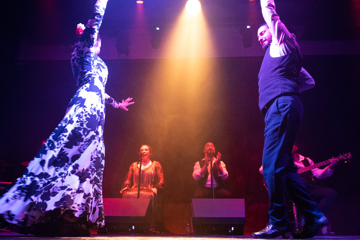 Danse de flamenco